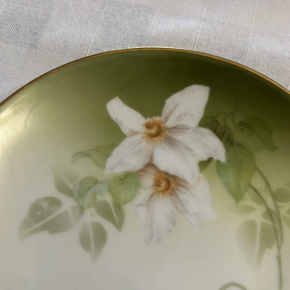 Antique delicate white floral design on porcelain plates RS Tillowitz Germany